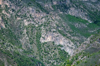 Güney İspanya 'nın güzel bir tatil yeri. Sierra de Tejeda, Almijara ve Alhama Dağları