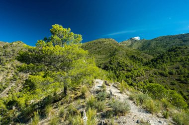 Güney İspanya 'nın güzel bir tatil yeri. Sierra de Tejeda, Almijara ve Alhama Dağları