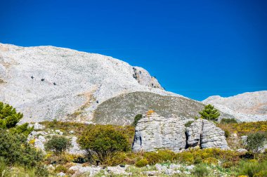 Tipik Endülüs dağ manzarası Ronda şehri yakınlarında..