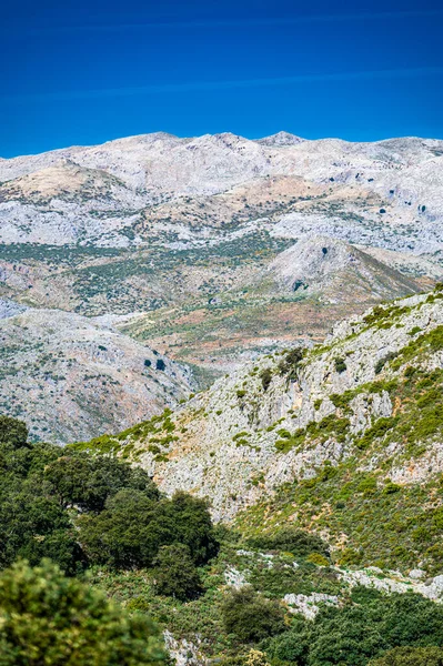 Paisaje Típico Andaluz Montaña Cerca Ciudad Ronda — Foto de Stock
