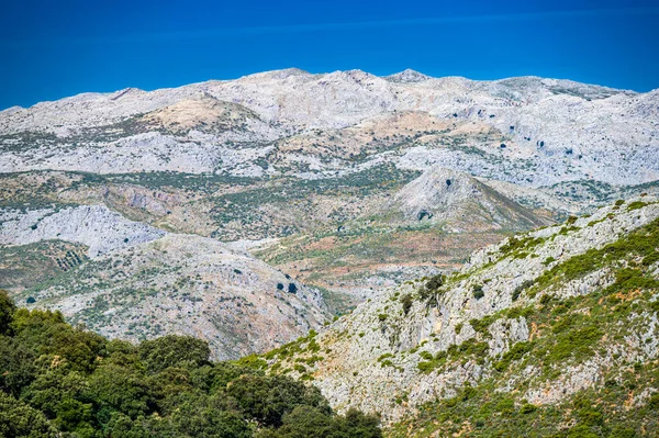 Типичный Андалузский Горный Ландшафт Вблизи Города Ронда — стоковое фото