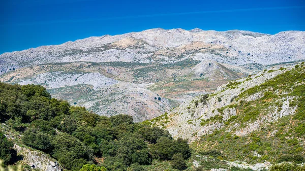Τυπικό Ορεινό Τοπίο Της Ανδαλουσίας Κοντά Στην Πόλη Της Ronda — Φωτογραφία Αρχείου