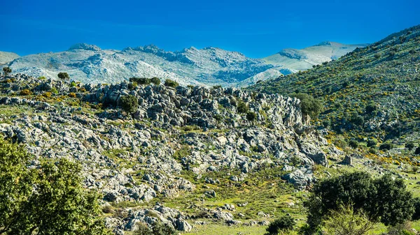 Paisaje Típico Andaluz Montaña Cerca Ciudad Ronda — Foto de Stock