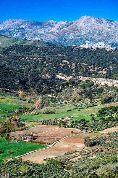 Τυπικό Τοπίο Της Ανδαλουσίας Κοντά Στην Πόλη Της Ronda — Φωτογραφία Αρχείου