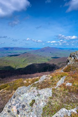 Bahar dağı manzarası. Bukowe Berdo Bieszczady Dağları, Polonya.