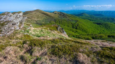 Bieszczady Dağları 'nın bahar manzarası. Halicz Dağı manzarası.