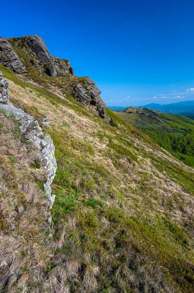 Paesaggio Primaverile Dei Monti Bieszczady Una Vista Sul Monte Kopa — Foto Stock
