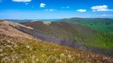 Bieszczady Dağları 'nın bahar manzarası. Görüntü: Wielka Rawka.