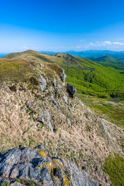 Paesaggio Primaverile Dei Monti Bieszczady Una Vista Sul Monte Halicz — Foto Stock