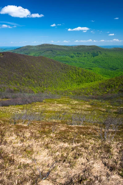 Spring Landscape Bieszczady Mountains View Wielka Rawka — Stock Photo, Image