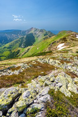 Slovakya, Mala Fatra 'nın renkli bahar dağı manzarası.