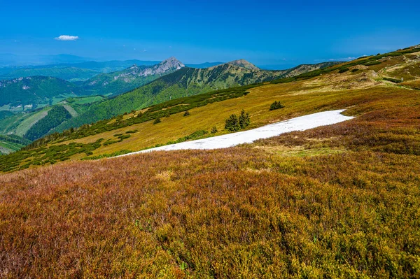 Färgglada Våren Bergslandskap Mala Fatra Slovakien — Stockfoto