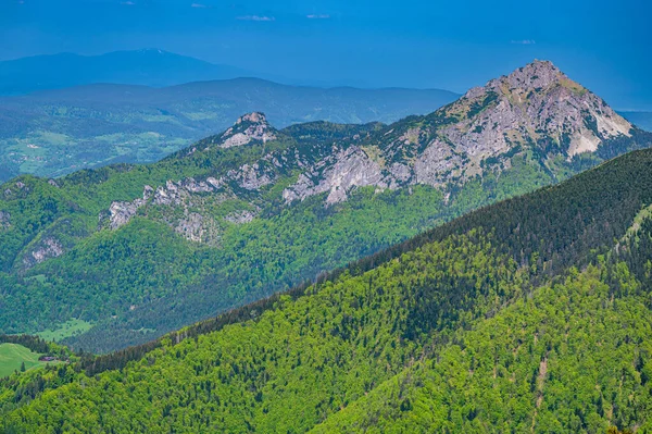 Mont Velky Rozsutec Paysage Montagne Printanier Coloré Mala Fatra Slovaquie — Photo