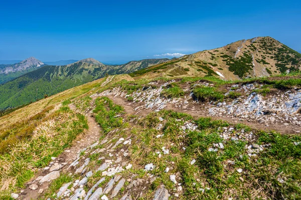 Góra Velky Krivan Kolorowy Wiosenny Krajobraz Górski Małej Fatry Słowacja — Zdjęcie stockowe
