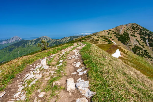 Mount Velky Krivan Färgglada Våren Bergslandskap Mala Fatra Slovakien — Stockfoto