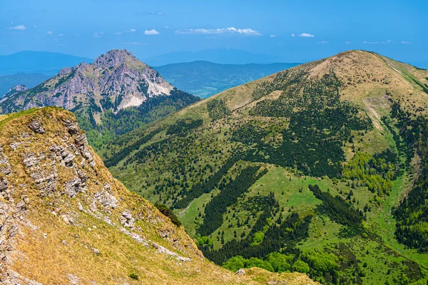 Kolorowy Wiosenny Krajobraz Górski Małej Fatry Słowacja — Zdjęcie stockowe