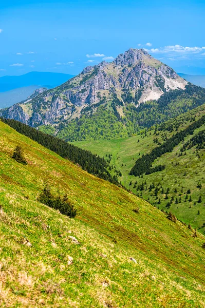 Velky Dağı Rozsutec Slovakya Mala Fatra Nın Renkli Bahar Dağı — Stok fotoğraf