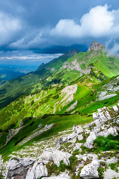 Letni Krajobraz Tatr Bielskich Tatrzański Park Narodowy Słowacja Góra Havran — Zdjęcie stockowe