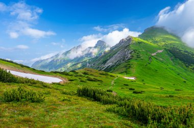 Belianske Tatras 'ın yaz manzarası. Tatra Ulusal Parkı, Slovakya. Havran Dağı ve Zdiarska Vidla.