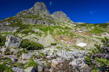 Slovakya 'nın en güzel seyahat yerlerinden biri. High Tatras 'ın yaz manzarası. Jastrabia Dağı Veza ve Cervena Vadisi. Tatra Ulusal Parkı, Slovakya.