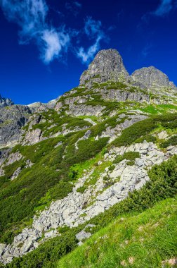 Slovakya 'nın en güzel seyahat yerlerinden biri. High Tatras 'ın yaz manzarası. Jastrabia Dağı Veza ve Cervena Vadisi. Tatra Ulusal Parkı, Slovakya.