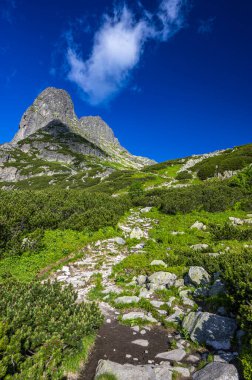 Slovakya 'nın en güzel seyahat yerlerinden biri. High Tatras 'ın yaz manzarası. Jastrabia Dağı Veza ve Cervena Vadisi. Tatra Ulusal Parkı, Slovakya.