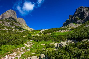 Slovakya 'nın en güzel seyahat yerlerinden biri. High Tatras 'ın yaz manzarası. Jastrabia Dağı Veza ve Cervena Vadisi. Tatra Ulusal Parkı, Slovakya.