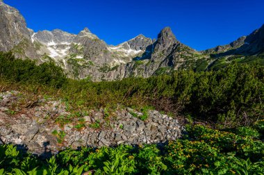 Zelene Pleso civarındaki High Tatras 'ın yaz manzarası. Tatra Ulusal Parkı, Slovakya.