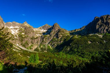 Zelene Pleso civarındaki High Tatras 'ın yaz manzarası. Tatra Ulusal Parkı, Slovakya.