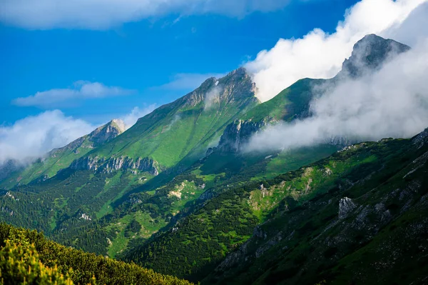 ベリアンケ タトラの夏の風景 タトラ国立公園 スロバキア ハヴラン山とザディアルスカ ヴィドラ山 — ストック写真