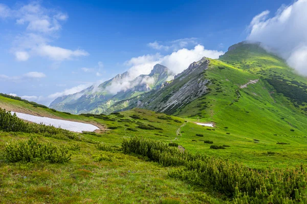 Sommar Landskap Belianske Tatras Tatra Nationalpark Slovakien Berget Havran Och — Stockfoto