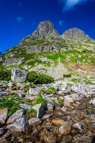 One Most Beautiful Travel Destination Slovakia Summer Landscape High Tatras — Stock Photo, Image