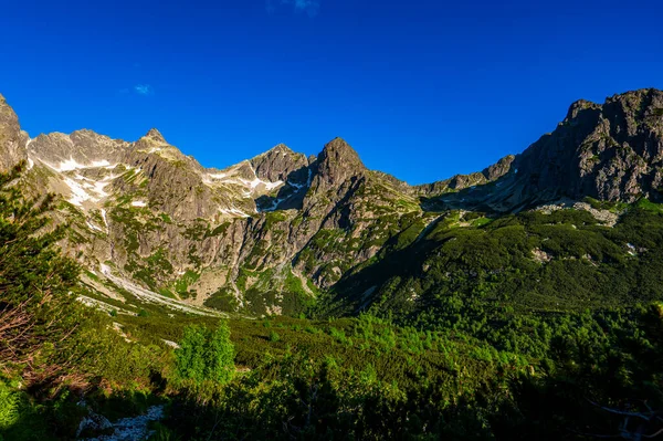 Sommar Landskap Höga Tatra Närheten Zelene Pleso Tatra Nationalpark Slovakien — Stockfoto