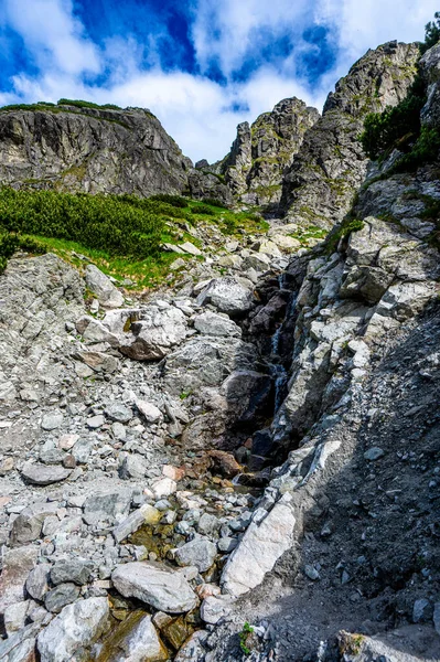 Paesaggio Estivo Degli Alti Tatra Nelle Vicinanze Zelene Pleso Parco — Foto Stock