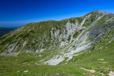 Yaz günü dağ manzarası. Yeşil kayalık dağlar ve mavi bir gökyüzü. Setea Mare Dağı, Parang Dağları, Romanya.