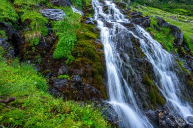 şelale fagaras Dağları, Romanya.