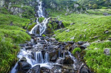 şelale fagaras Dağları, Romanya.