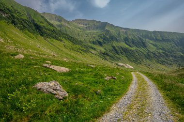 Bir dağ vadisinde dolambaçlı bir köy yolu. Fagaras Dağları, Karpatlar, Romanya.