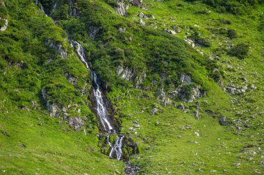 şelale fagaras Dağları, Romanya.