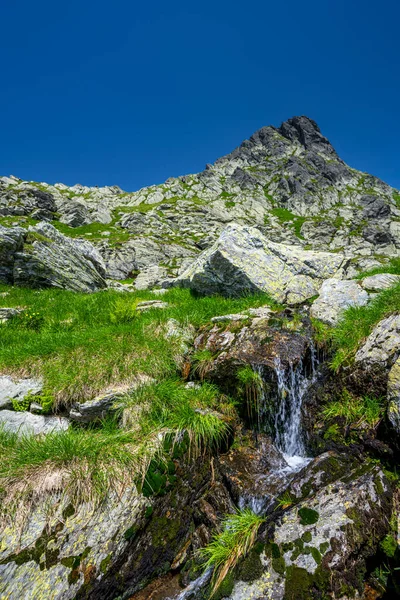 Sommarlandskapet Fagarasbergen Utsikt Från Vandringsleden Från Baleasjön Till Berget Negoiu — Stockfoto