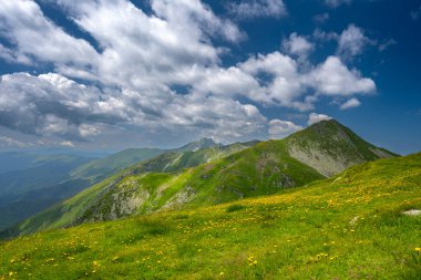 Iezerul Dağı Caprei. Romanya 'nın Fagaras Dağları' nın yaz manzarası. Balea Gölü ve Transfagarasan Yolu yakınlarındaki yürüyüş parkurundan bir görüntü..
