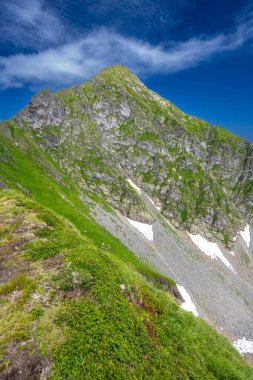 Capra Dağı. Romanya 'nın Fagaras Dağları' nın yaz manzarası. Balea Gölü ve Transfagarasan Yolu yakınlarındaki yürüyüş parkurundan bir görüntü..