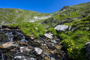 Romanya 'nın Fagaras Dağları' nın yaz manzarası. Balea Gölü ve Transfagarasan Yolu yakınlarındaki yürüyüş parkurundan bir görüntü..