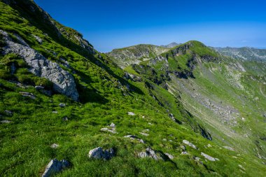 Paltinul Dağı. Romanya 'nın Fagaras Dağları' nın yaz manzarası. Balea Gölü ve Transfagarasan Yolu yakınlarındaki yürüyüş parkurundan bir görüntü..