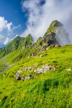 Fagaras Dağları 'nın manzarası. Balea Gölü 'nden Paltinul Dağı' na giden patikadan bir manzara.