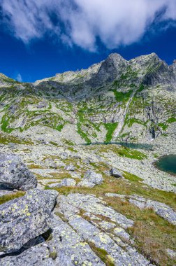 High Tatras 'ın yaz manzarası. Zabia Mieguszowiecka Vadisi, Mengusovska Dolina, Slovakya.