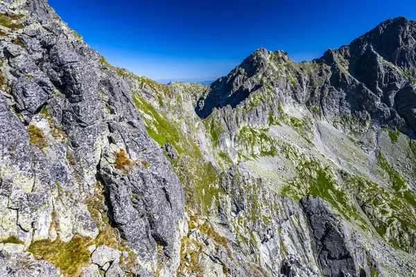Karpat Dağları, Yüksek Tatra 'nın güneşli manzarası.