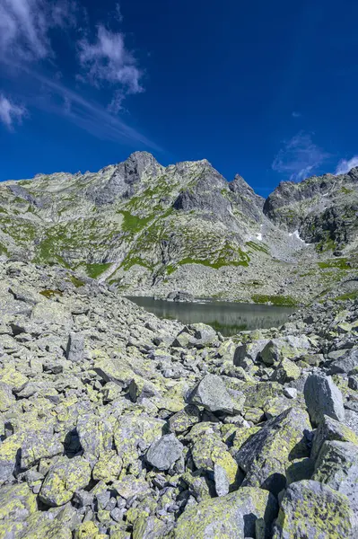 High Tatras 'ın yaz manzarası. Zabia Mieguszowiecka Vadisi, Mengusovska Dolina, Slovakya.