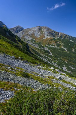 Spalena Vadisi ve Pachol Dağı 'nın sonbahar manzarası. Batı Tatras, Slovakya.