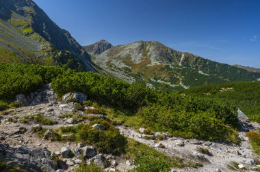 Spalena Vadisi ve Pachol Dağı 'nın sonbahar manzarası. Batı Tatras, Slovakya.